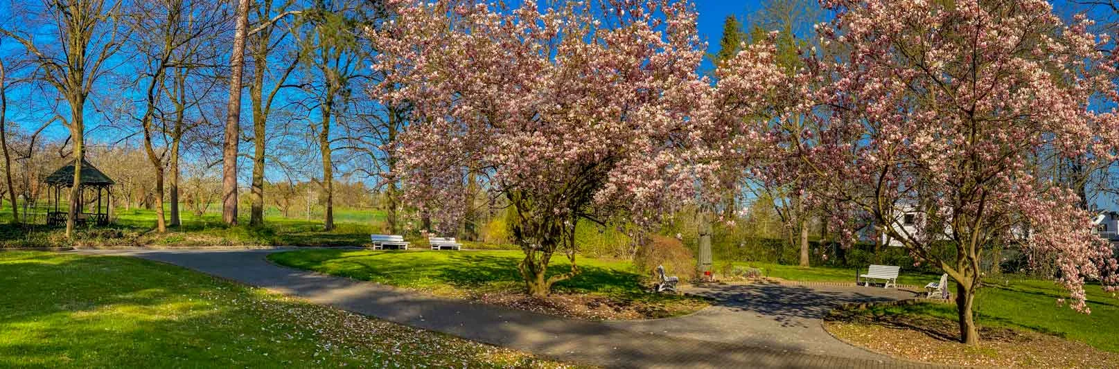 Park, Bänke, Weg, blühende Bäume